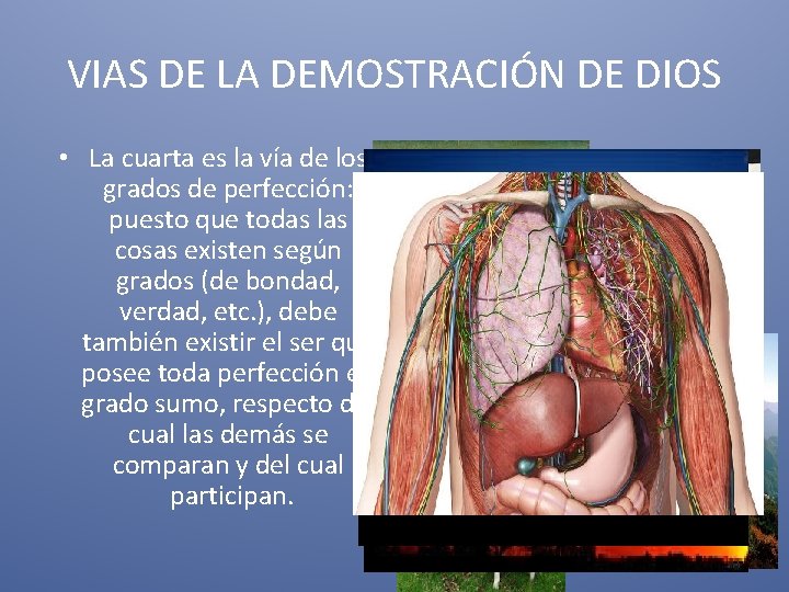 VIAS DE LA DEMOSTRACIÓN DE DIOS • La cuarta es la vía de los VIAS DE LA DEMOSTRACIÓN DE DIOS • La cuarta es la vía de los