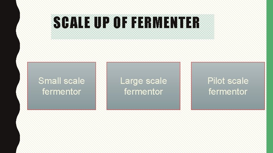 SCALE UP OF FERMENTER Small scale fermentor Large scale fermentor Pilot scale fermentor 