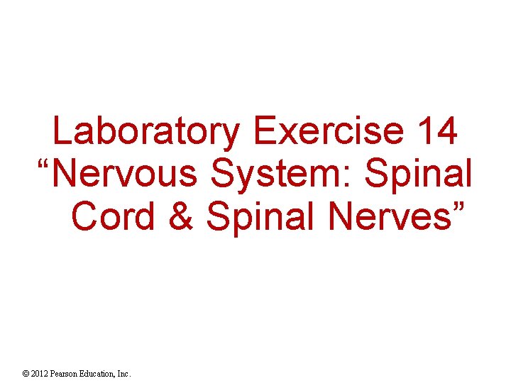 Laboratory Exercise 14 “Nervous System: Spinal Cord & Spinal Nerves” © 2012 Pearson Education,