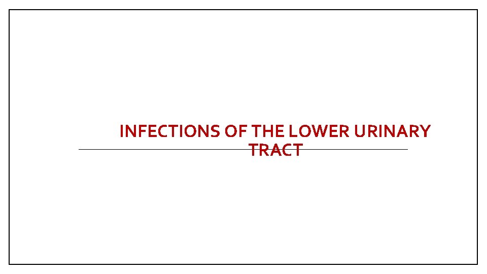 INFECTIONS OF THE LOWER URINARY TRACT 