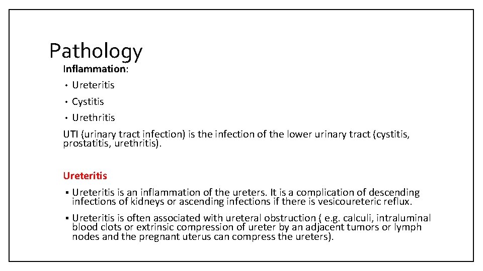 Pathology Inflammation: • Ureteritis • Cystitis • Urethritis UTI (urinary tract infection) is the