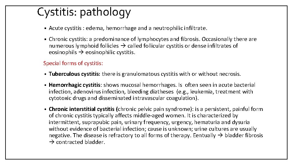 Cystitis: pathology § Acute cystitis : edema, hemorrhage and a neutrophilic infiltrate. § Chronic