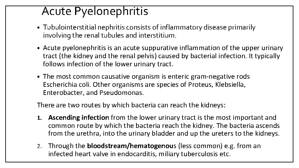 Acute Pyelonephritis • Tubulointerstitial nephritis consists of inflammatory disease primarily involving the renal tubules