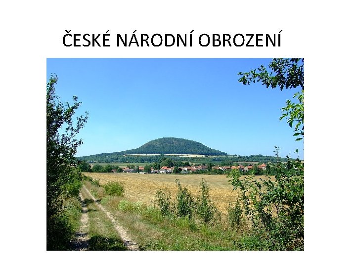 ČESKÉ NÁRODNÍ OBROZENÍ 