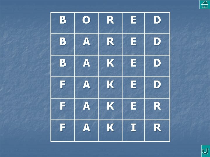 B O R E D B A K E D F A K E