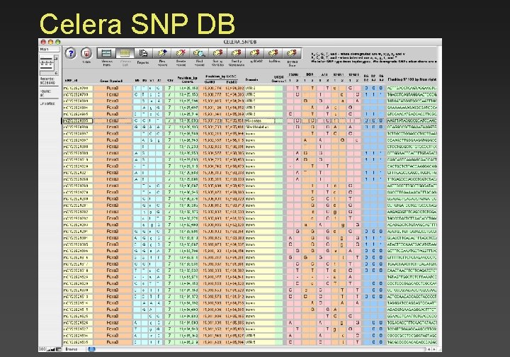 Celera SNP DB 