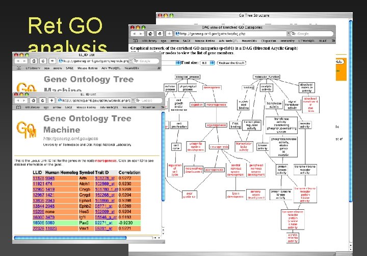 Ret GO analysis 