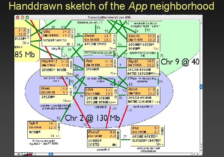 Handdrawn sketch of the App neighborhood 