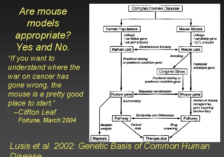 Are mouse models appropriate? Yes and No. “If you want to understand where the