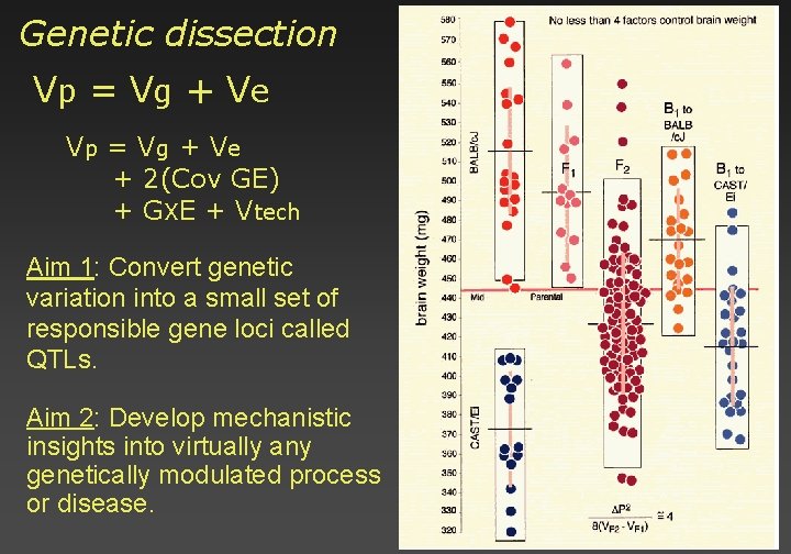 Genetic dissection Vp = V g + V e + 2(Cov GE) + GXE