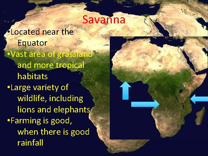 Savanna • Located near the Equator • Vast area of grassland more tropical habitats Savanna • Located near the Equator • Vast area of grassland more tropical habitats