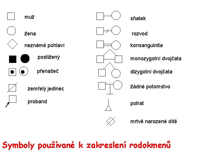 muž sňatek žena rozvod neznámé pohlaví konsanguinita postižený monozygotní dvojčata přenašeč dizygotní dvojčata zemřelý