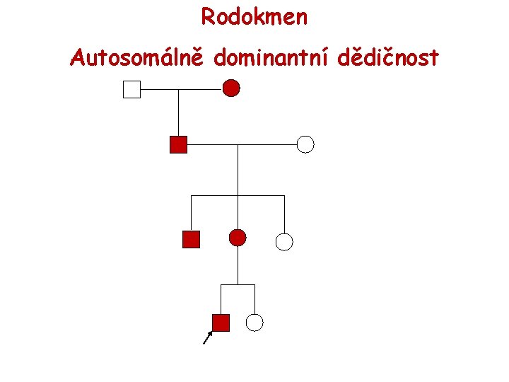 Rodokmen Autosomálně dominantní dědičnost 