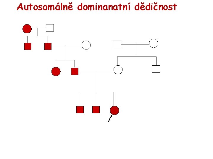 Autosomálně dominanatní dědičnost 