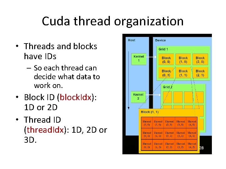 Cuda thread organization • Threads and blocks have IDs – So each thread can