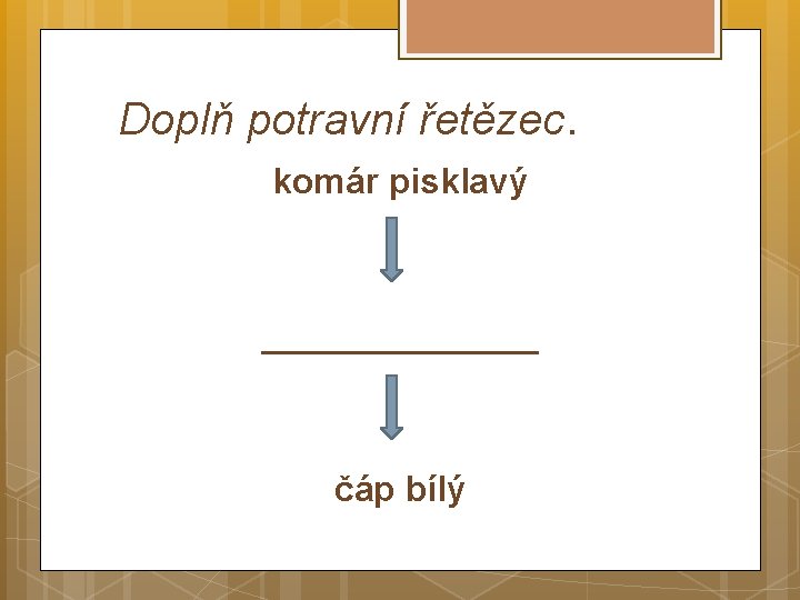 Doplň potravní řetězec. komár pisklavý _______ čáp bílý 