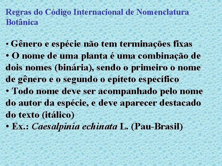 Regras do Código Internacional de Nomenclatura Botânica • Gênero e espécie não tem terminações