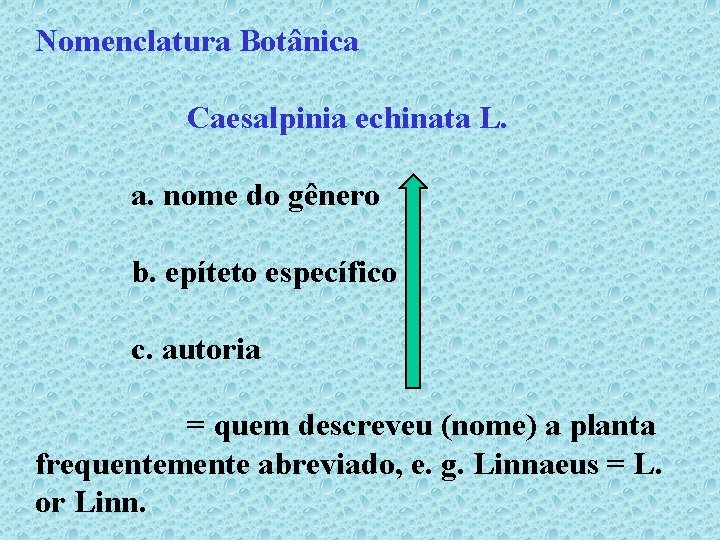 Nomenclatura Botânica Caesalpinia echinata L. a. nome do gênero b. epíteto específico c. autoria