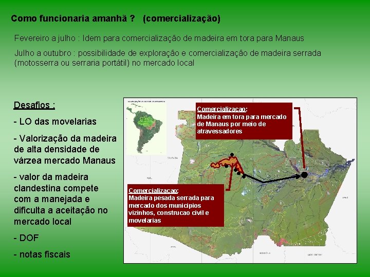 Como funcionaria amanhã ? (comercialização) Fevereiro a julho : Idem para comercialização de madeira