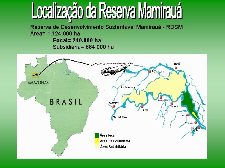 Reserva de Desenvolvimento Sustentável Mamirauá - RDSM Área= 1. 124. 000 ha Focal= 240.