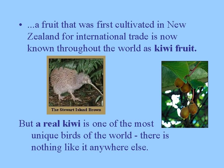  • . . . a fruit that was first cultivated in New Zealand