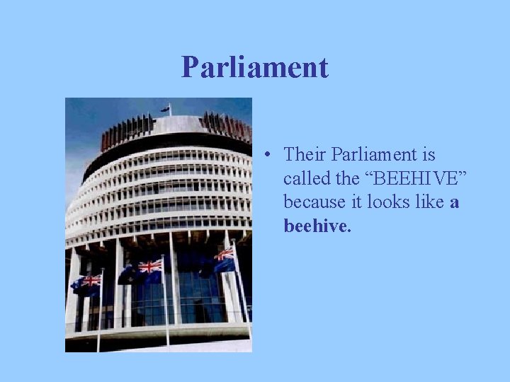 Parliament • Their Parliament is called the “BEEHIVE” because it looks like a beehive.
