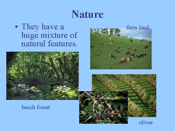 Nature • They have a huge mixture of natural features. farm land beech forest