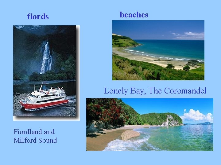 fiords beaches Lonely Bay, The Coromandel Fiordland Milford Sound 