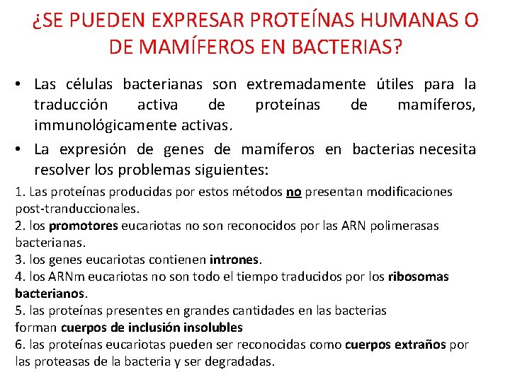 ¿SE PUEDEN EXPRESAR PROTEÍNAS HUMANAS O DE MAMÍFEROS EN BACTERIAS? • Las células bacterianas
