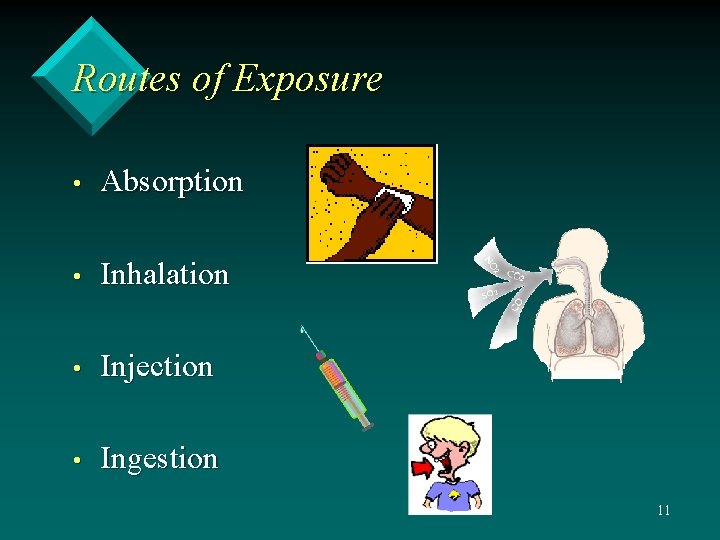 Routes of Exposure • Absorption • Inhalation • Injection • Ingestion 11 