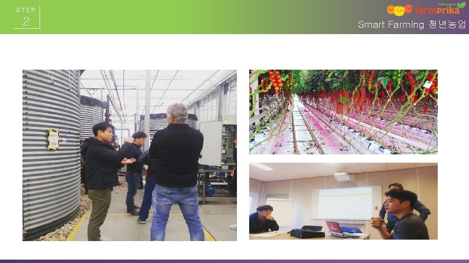 STEP 2 Smart Farming 청년농업 STEP 2 Smart Farming 청년농업