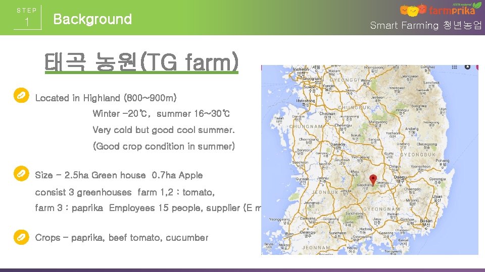 STEP 1 Background 태곡 농원(TG farm) Located in Highland (800~900 m) Winter -20℃, summer STEP 1 Background 태곡 농원(TG farm) Located in Highland (800~900 m) Winter -20℃, summer