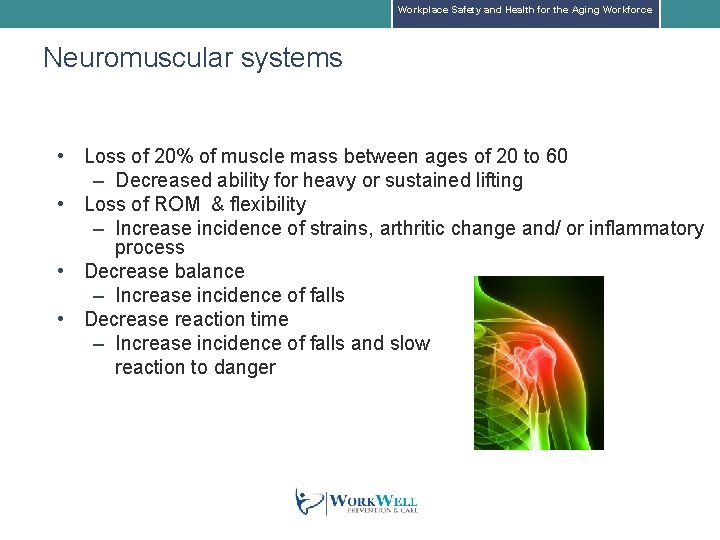 Workplace Safety and Health for the Aging Workforce Neuromuscular systems • Loss of 20%