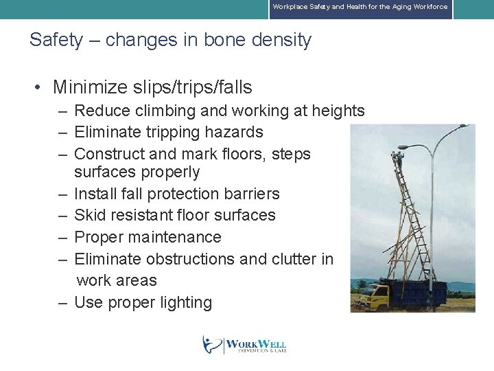 Workplace Safety and Health for the Aging Workforce Safety – changes in bone density Workplace Safety and Health for the Aging Workforce Safety – changes in bone density