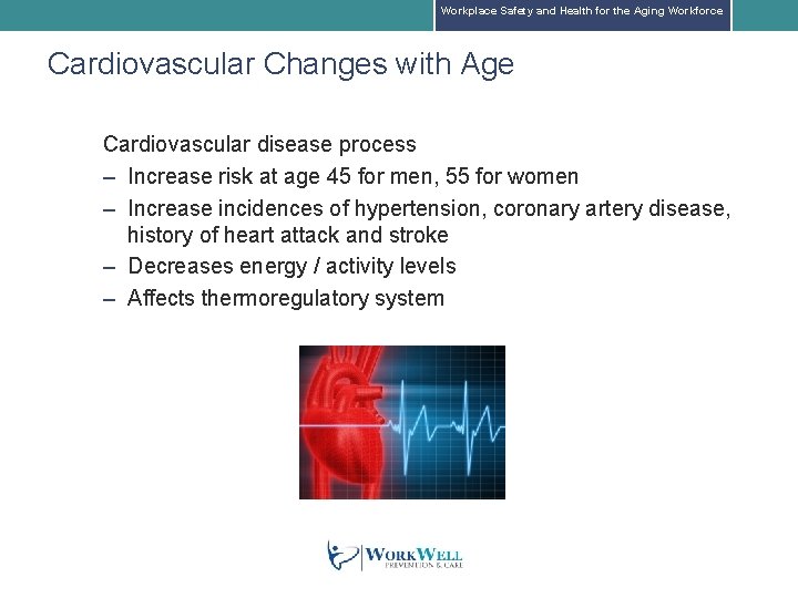 Workplace Safety and Health for the Aging Workforce Cardiovascular Changes with Age Cardiovascular disease