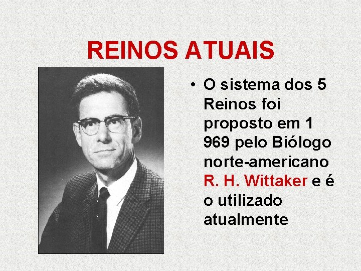 REINOS ATUAIS • O sistema dos 5 Reinos foi proposto em 1 969 pelo