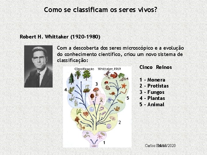 Como se classificam os seres vivos? Robert H. Whittaker (1920– 1980) Com a descoberta