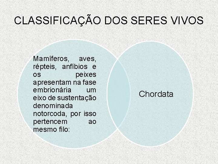 CLASSIFICAÇÃO DOS SERES VIVOS Mamíferos, aves, répteis, anfíbios e os peixes apresentam na fase