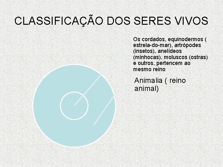 CLASSIFICAÇÃO DOS SERES VIVOS Os cordados, equinodermos ( estrela-do-mar), artrópodes (insetos), anelídeos (minhocas), moluscos