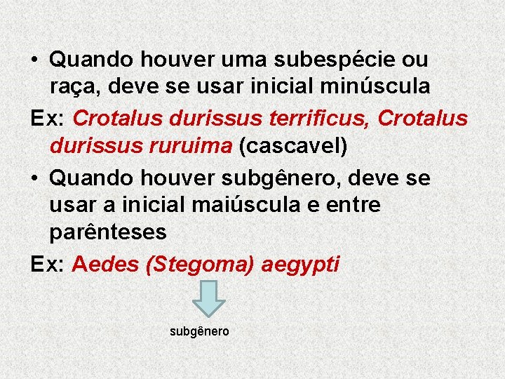  • Quando houver uma subespécie ou raça, deve se usar inicial minúscula Ex: