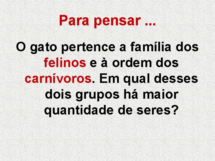 Para pensar. . . O gato pertence a família dos felinos e à ordem