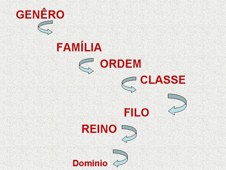 GENÊRO FAMÍLIA ORDEM CLASSE FILO REINO Domínio 