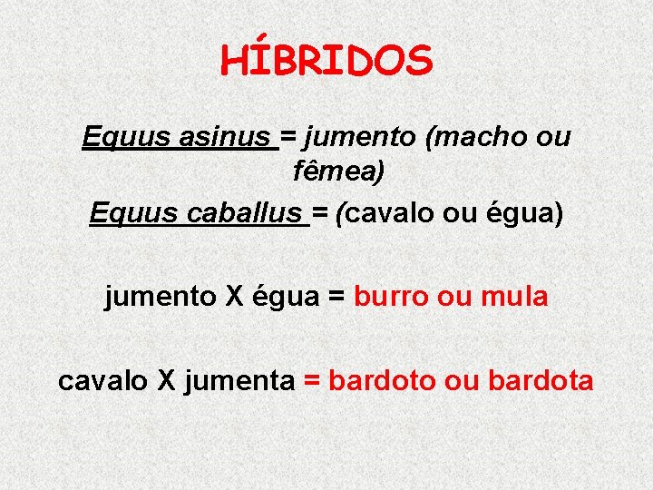 HÍBRIDOS Equus asinus = jumento (macho ou fêmea) Equus caballus = (cavalo ou égua)