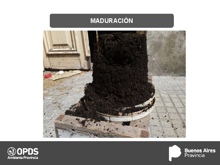 MADURACIÓN 