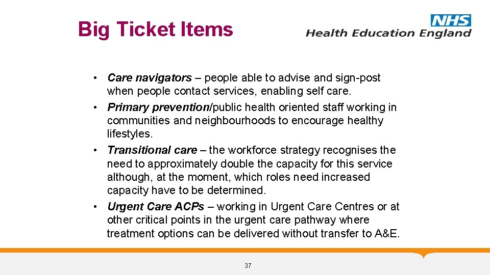 Big Ticket Items • Care navigators – people able to advise and sign-post when