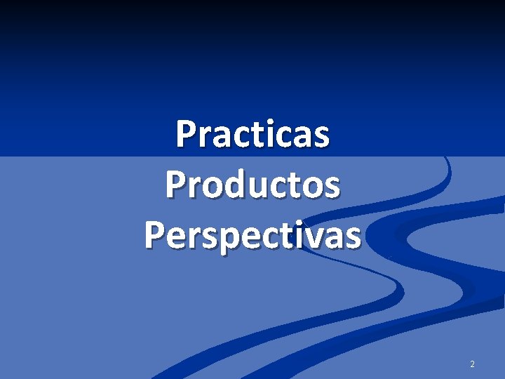 Practicas Productos Perspectivas 2 