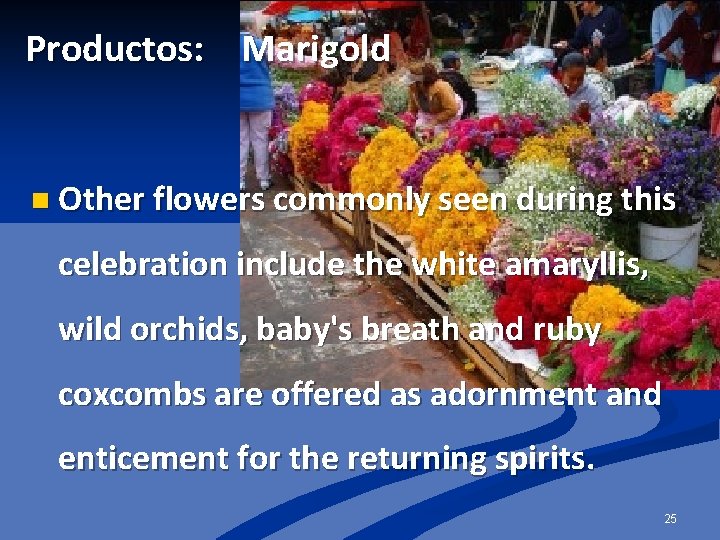 Productos: Marigold n Other flowers commonly seen during this celebration include the white amaryllis,