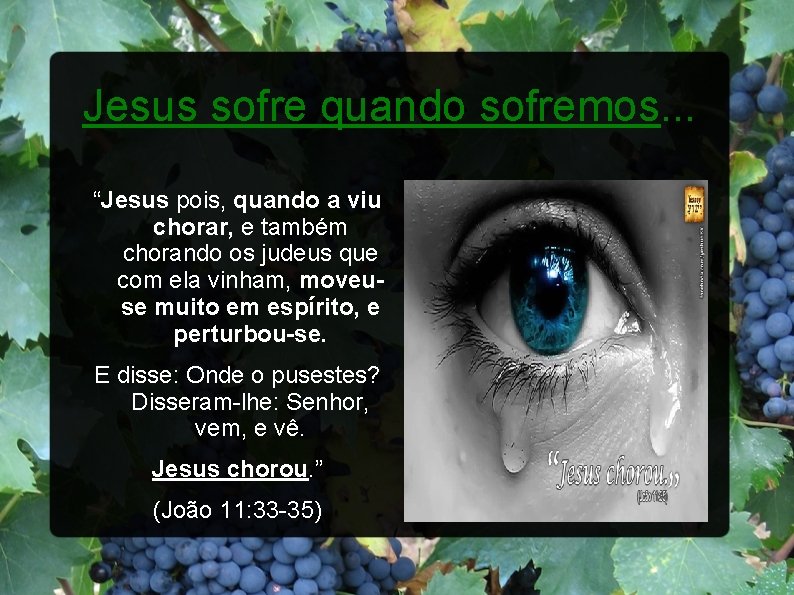 Jesus sofre quando sofremos. . . “Jesus pois, quando a viu chorar, e também