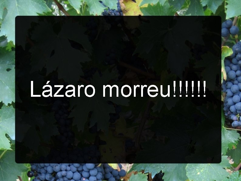 Lázaro morreu!!!!!! 