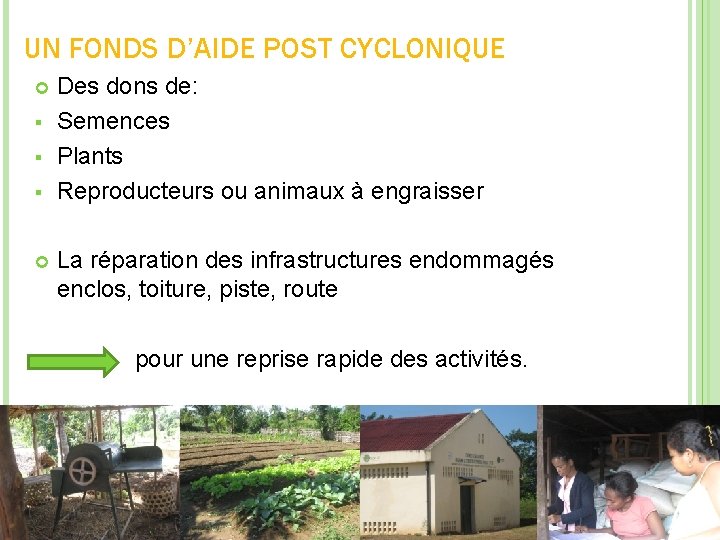 UN FONDS D’AIDE POST CYCLONIQUE § § § Des dons de: Semences Plants Reproducteurs UN FONDS D’AIDE POST CYCLONIQUE § § § Des dons de: Semences Plants Reproducteurs